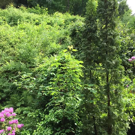 - Zentrumsnah, Eigener Parkplatz Und Grosser Balkon Ins Gruene Apartmán