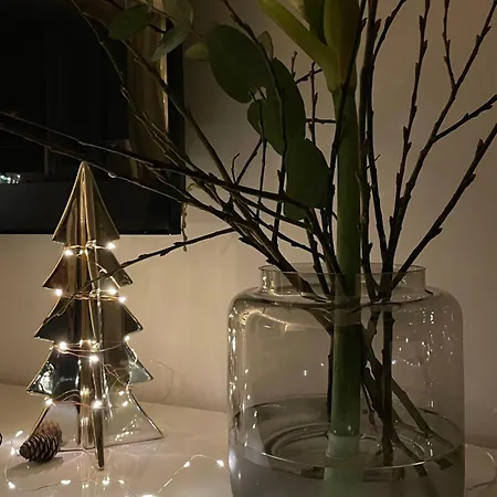 - Zentrumsnah, Eigener Parkplatz Und Grosser Balkon Ins Gruene Apartmán Baden-Baden