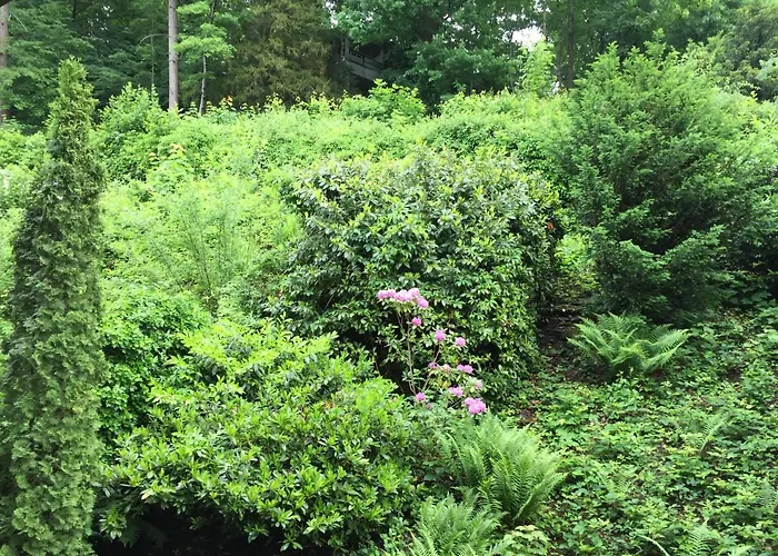 Apartamento - Zentrumsnah, Eigener Parkplatz Und Großer Balkon Ins Grüne *