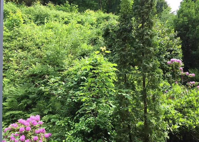 - Zentrumsnah, Eigener Parkplatz Und Großer Balkon Ins Grüne Apartamento